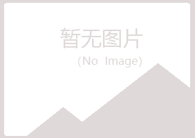 偃师凝芙能源有限公司